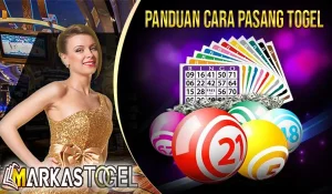 Panduan Cara Pasang Togel Online Untuk Pemula