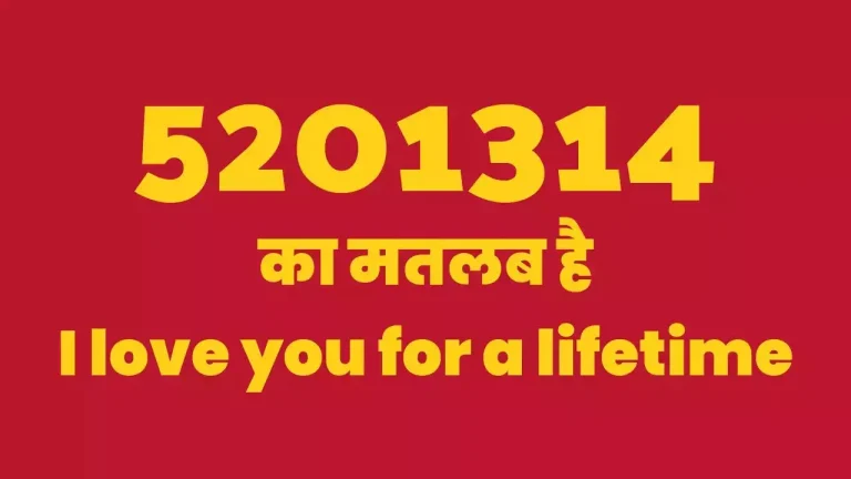 5201314 meaning in hindi