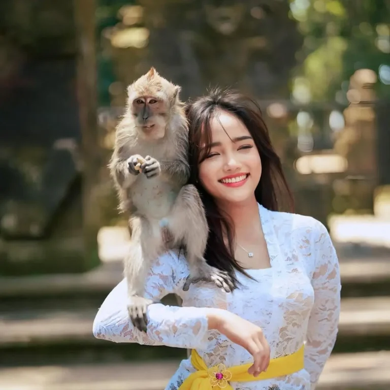Artis Mirip Monyet